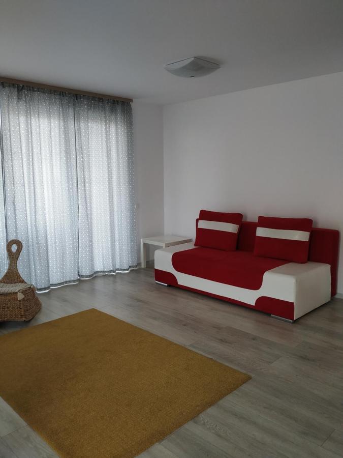 Exquisite Apartament Brasov Ngoại thất bức ảnh